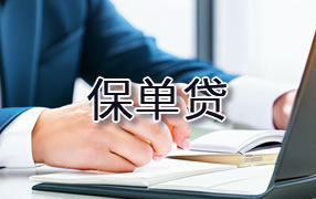上虞区保单贷